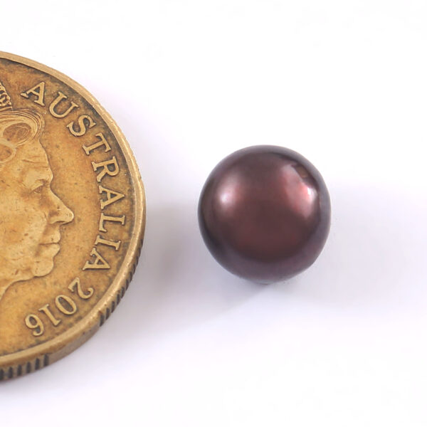 Black Pearl (Cultured Moti) - 5 Carats