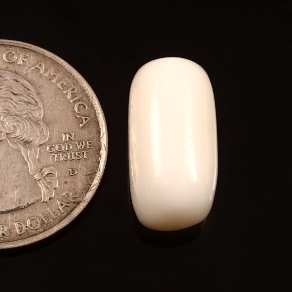 White Coral - 13.91 Carats